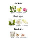 عطر زنانه لالیک لامور Lalique LAmour
