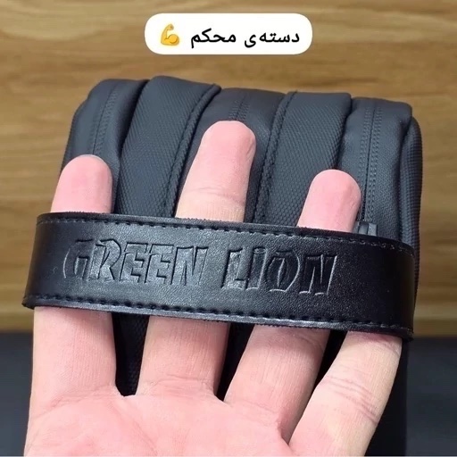 شوزبگ دستی گرین لیون
