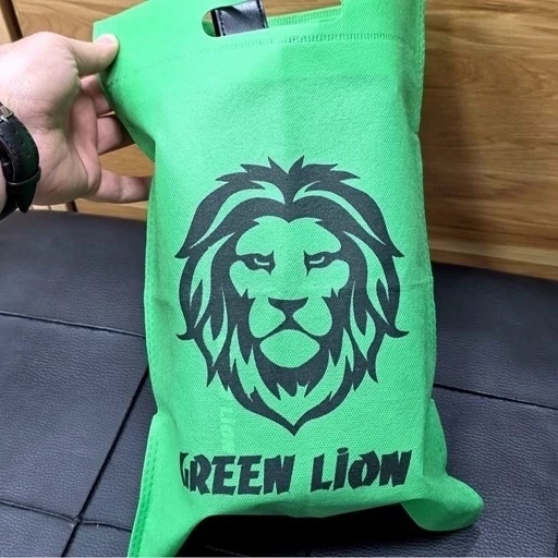 شوزبگ دستی گرین لیون